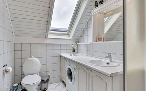 Earline - 900M to the Fjord: Piso, Arreglo De Tubería, Suelo, Diseño De Interiores, Techo, Baño, Plomería, Grifo, Loseta, Lavabo