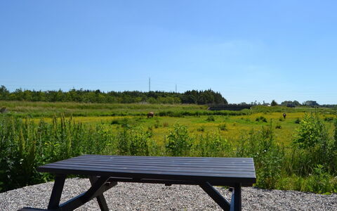 Ahvo - 22Km from the Sea: Banco Al Aire Libre, Azul, Mueble, Mueble Para Exteriores, Mesa De Picnic, Banco, Mesa Al Aire Libre, Mesa, Pradera