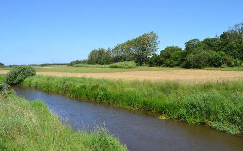 Ahvo - 22Km from the Sea: Los Recursos Hídricos, Cuerpo De Agua, Hierba, Entorno Natural, Paisaje Natural, Camino Acuático, Corriente De Agua, Pantano, Banco