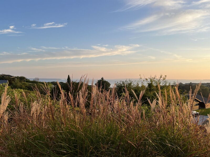 Harda - 800M from the Sea