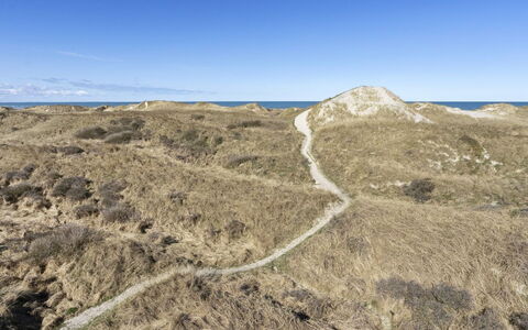 Solunka - 100M from the Sea: Ecorregión, Paisaje, Terreno, Planta De La Comunidad, Desierto, Shrubland, Geología, Sendero, Pendiente, Chaparral
