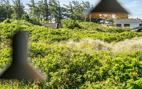 Sigrid - 400M from the Sea: Verde, Vegetación, Arbusto, Planta De La Comunidad, El Terreno Del Lote, Cobertura Del Suelo, Shrubland, Jardín, Plantación