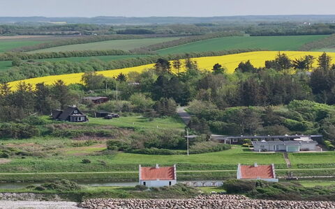 Aranja - 300M to the Fjord: Verde, Hierba, Paisaje, Área Rural, Pradera, Casa, El Terreno Del Lote, Llanura, Campo