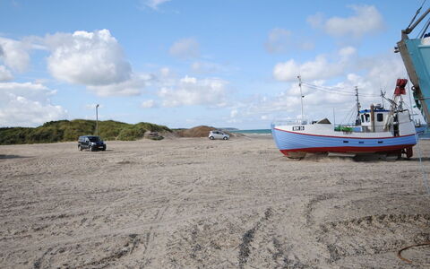 Tamika - 950M from the Sea