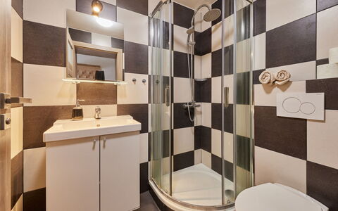 Cerny Dul 101: Propiedad, Espejo, Arreglo De Tubería, Grifo, Lavabo, Diseño De Interiores, Arquitectura, Piso, Suelo, Madera