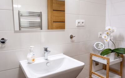 Alojamiento:&nbsp;Forest & Sauna 250.2