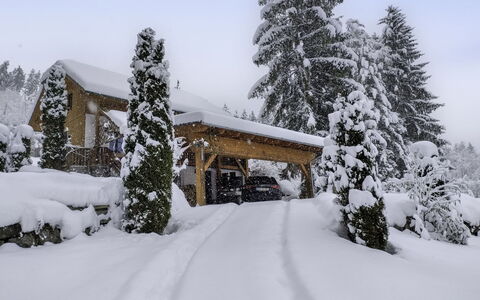 Reiter: Nieve, Árbol, Invierno, Rama, Casa, Casa, Cabaña, Congelación, Fenómeno Geológico, Alerce