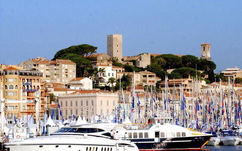 Cannes 535: Barco, Watercraft, Barcos Y Canotaje - Efectos Y Equipo, Centro De Deportes Acuáticos, Camino Acuático, Puerto, Canal, Embarcacion, Mar, Arquitectura Naval