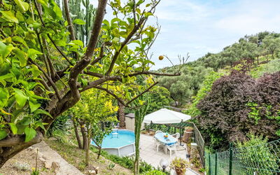 Paradiso tra Gli Ulivi
