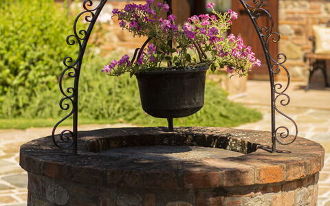 Casa Vacanze Paradiso: Flor, Planta, Maceta, Madera, Fuente, Hierba, Metal, Jardín, Planta Anual, Paisajismo