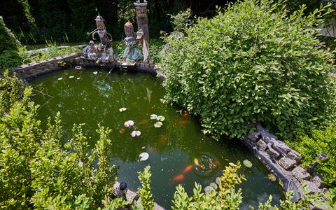 Desná V Jizerských Horách 407: Agua, Verde, Corriente De Agua, Arbusto, Jardín, Estanque, Estanque De Peces, Fuente De Agua