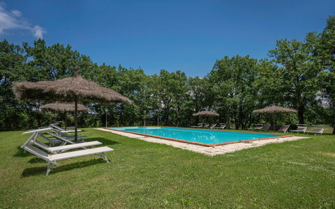 Belvedere - Falceto, Ambra, Toscana: Cielo, Propiedad, Planta, Agua, Piscina, Sombra, Árbol, Casa, El Terreno Del Lote, Hierba