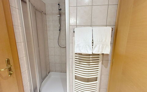 Ischgl 111: Piso, Suelo, Diseño De Interiores, Habitación, Manchas De Madera, Linos, Madera Dura, Loseta, Puerta De La Ducha
