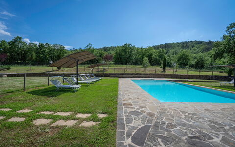 Leopolda In Selvarella Pool And Wi-fi: Cielo, Agua, Propiedad, Planta, Nube, Piscina, Sombra, Árbol, Hierba, Rectángulo