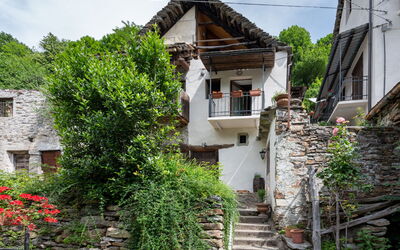 Il Gianlupo Grigio - San Lorenzo, Piamonte, Italia