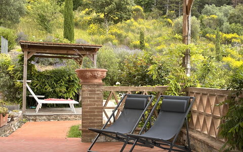 Villa Monticello: Planta, Mueble, Planta De La Comunidad, Banco Al Aire Libre, Mueble Para Exteriores, Paisaje Natural, Madera, Hierba, Sombra, Árbol