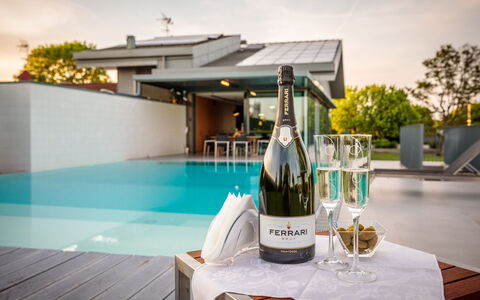Villa Dalia Venezia: Botella, Mesa, Drinkware, Vajilla, Botella De Vidrio, Barware, Vino, Planta, Stemware, Agua