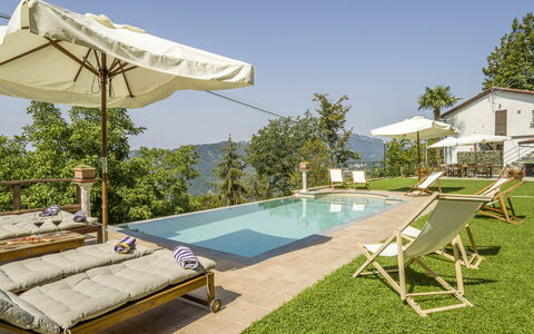 Casa Aurora - Recco, Liguria: Mueble, Planta, Cielo, Piscina, Sunlounger, Azur, Sombra, Mueble Para Exteriores, Árbol, Casa