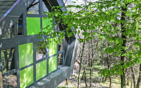 Bosco della Bella 6: Jardín, Bosque, Edificios Del Jardín, Sombra, Selva, Cobertizo, Cuarto De Troncos, Patio Interior