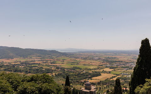 Casa Novecento: Cielo, Planta De La Comunidad, Ecorregión, Tierras Altas, Árbol, Planta, Montaña, Paisaje Natural, Nube, Fenómeno Atmosférico
