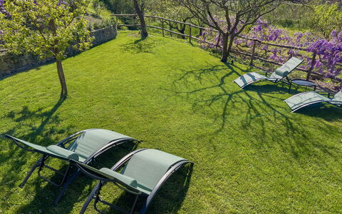 La Casa Dei Glicini - Levanto: Planta, Planta De La Comunidad, Vehículo De Motor, Paisaje Natural, Rueda, Árbol, El Terreno Del Lote, Hierba, Arbusto