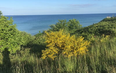 Rikus - 300M from the Sea