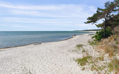 Anly - 250M from the Sea