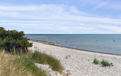 Anly - 250M from the Sea