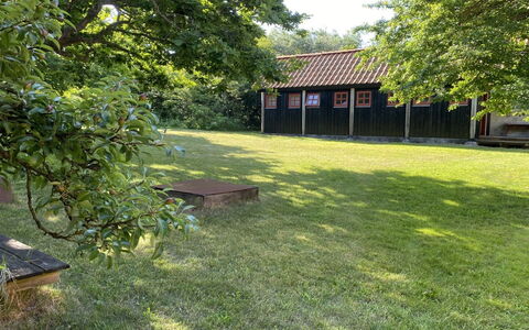 Henke - 100M from the Sea: Hierba, Árbol, El Terreno Del Lote, Césped, Jardín, Área Rural, Cobertura Del Suelo, Sombra, Patio Interior