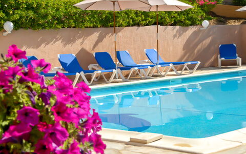 Porto 300: Agua, Planta, Flor, Edificio, Piscina, Azur, Mueble Para Exteriores, Sunlounger, Paraguas, Sombra