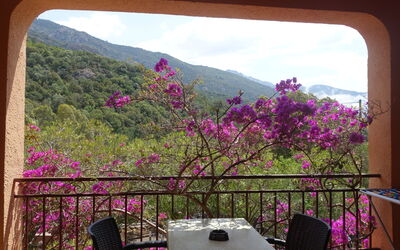 Alojamiento:&nbsp;Residence Cabanaccia Studio 35M² 300.5