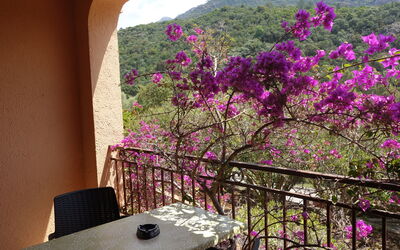 Alojamiento:&nbsp;Residence Cabanaccia Studio 35M² 300.5