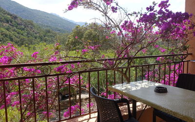 Alojamiento:&nbsp;Residence Cabanaccia Studio 35M² 300.5