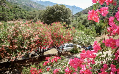 Alojamiento:&nbsp;Residence Cabanaccia Studio 35M² 300.5