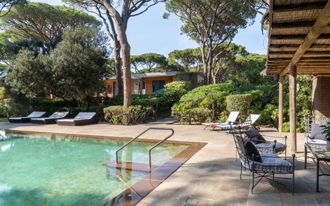 Villa La Pineta: Agua, Planta, Piscina, Cielo, Edificio, Árbol, Mueble Para Exteriores, Sombra, Silla, Arecales