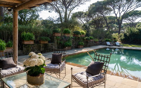 Villa La Pineta: Agua, Planta, Mueble, Propiedad, Piscina, Árbol, Mueble Para Exteriores, Silla, Maceta, Sombra
