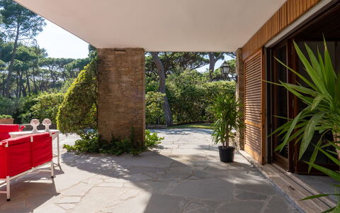 Villa La Pineta: Planta, Propiedad, Sombra, Mesa, Diseño De Interiores, Árbol, Hierba, Edificio, Suelo, Pared