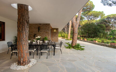 Villa La Pineta: Planta, Propiedad, Mesa, Silla, Encendiendo, Edificio, Diseño De Interiores, Sombra, Pared, Árbol