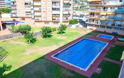 Colom