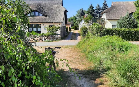 Fischerbungalow: Planta, Cielo, Propiedad, Planta De La Comunidad, Paisaje Natural, Ventana, Edificio, El Terreno Del Lote, Casa, Árbol