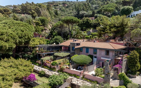 Argentarola House, Porto Santo Stefano, Seaview An: Planta, Propiedad, Planta De La Comunidad, Cielo, Edificio, Árbol, Vegetación, Biome, Paisaje Natural, Casa