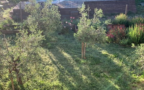 Lina - Podere Ribatti - Casole D'elsa, Toscana: Planta, Planta De La Comunidad, Paisaje Natural, Árbol, El Terreno Del Lote, Ventana, Hierba, Vehículo, Pradera, Cobertura Del Suelo
