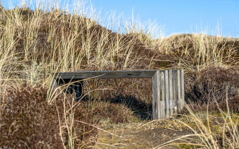 Pauli - 350M from the Sea