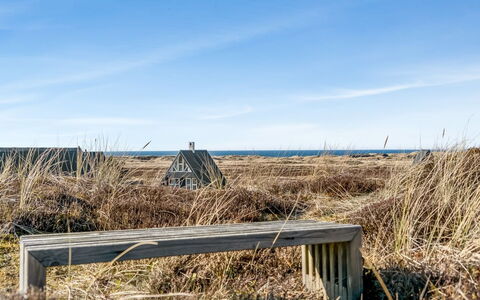 Pauli - 350M from the Sea