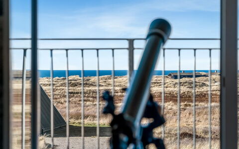 Pauli - 350M from the Sea