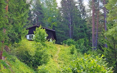 Lieblingsplatz: Planta, Ventana, Paisaje Natural, Árbol, Madera, Alerce, Casa, Hojas Perennes, Planta Terrestre, Cobertura Del Suelo