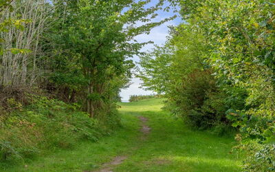 Morten - 120M from the Sea
