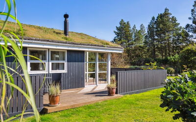 Ofelia - 2.5Km from the Sea