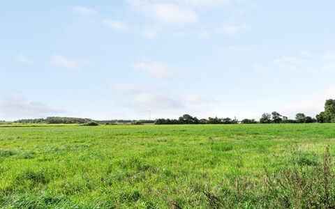 Haralde: Cielo, Azul, Verde, Nube, Tiempo De Día, Hierba, Pradera, Entorno Natural, Vegetación, Paisaje Natural