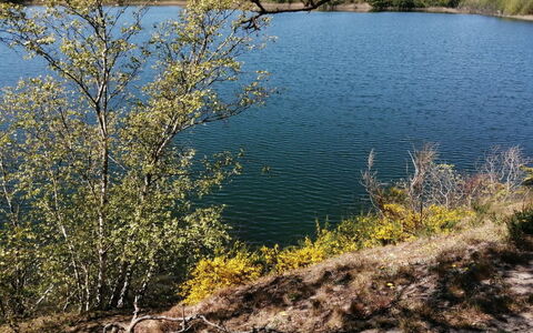 Helmi - 1Km from the Sea: Los Recursos Hídricos, Agua, Cuerpo De Agua, Banco, Lago, Reservorio, Ramita, Río, Reflexión